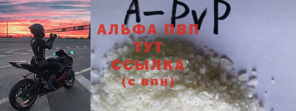 PSILOCYBIN Белокуриха