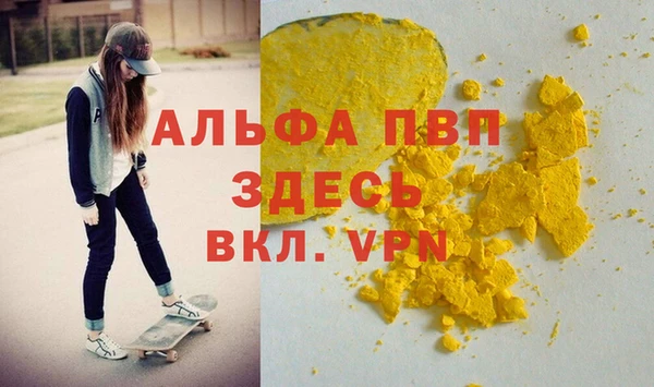PSILOCYBIN Белокуриха