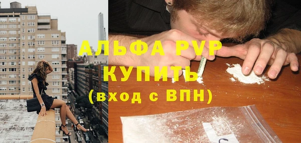 PSILOCYBIN Белокуриха